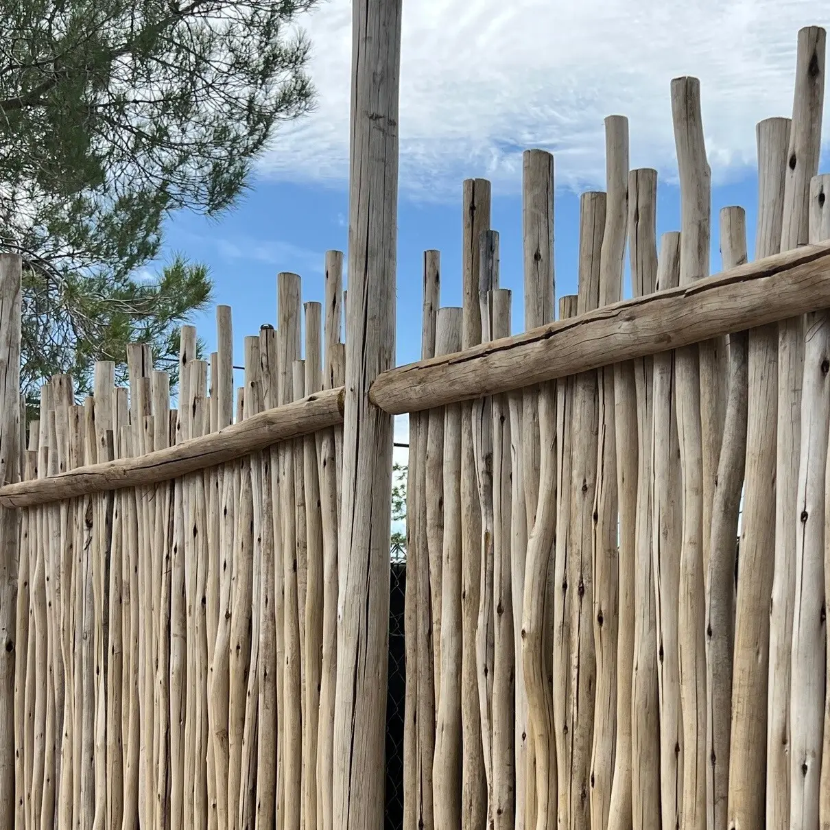 Eucalyptus Poles & Beams - Image 5