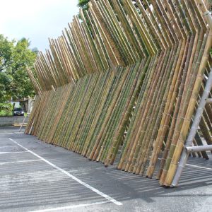 Guada Bamboo Poles For Sale - BYXS Commercial