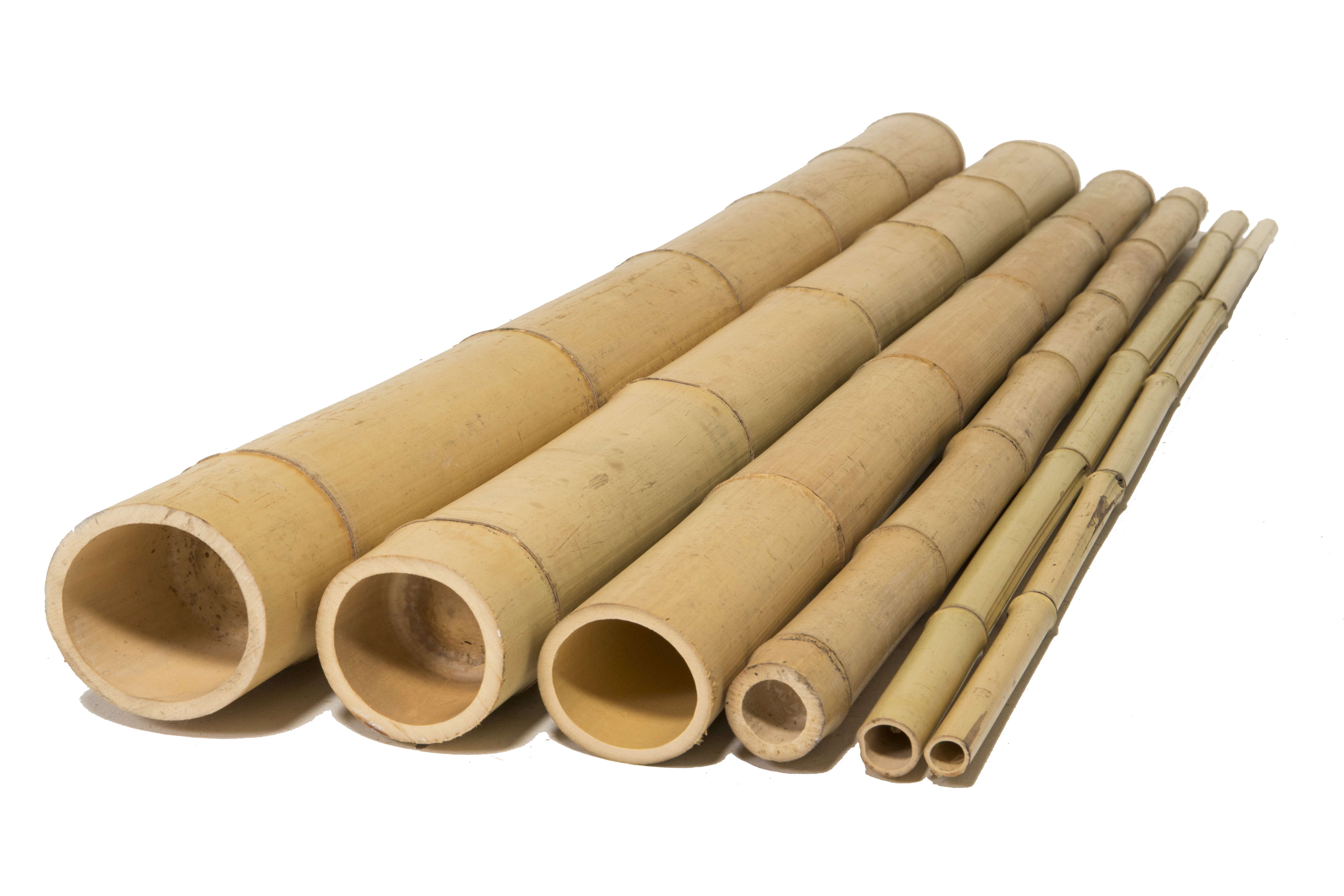 Tonkin Bamboo Poles For Sale BYXS Commercial