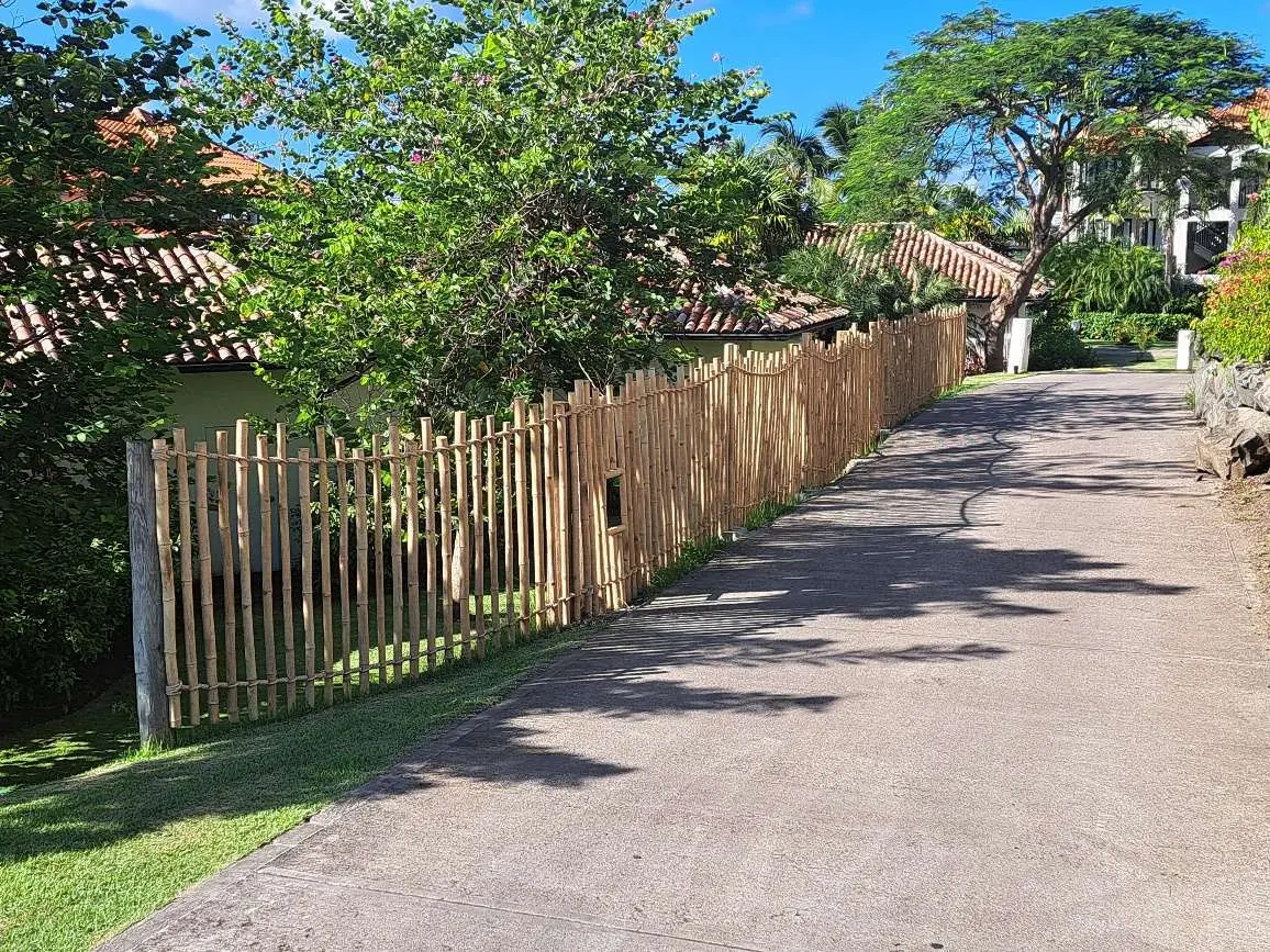 Solid Bamboo Fencing - Image 3