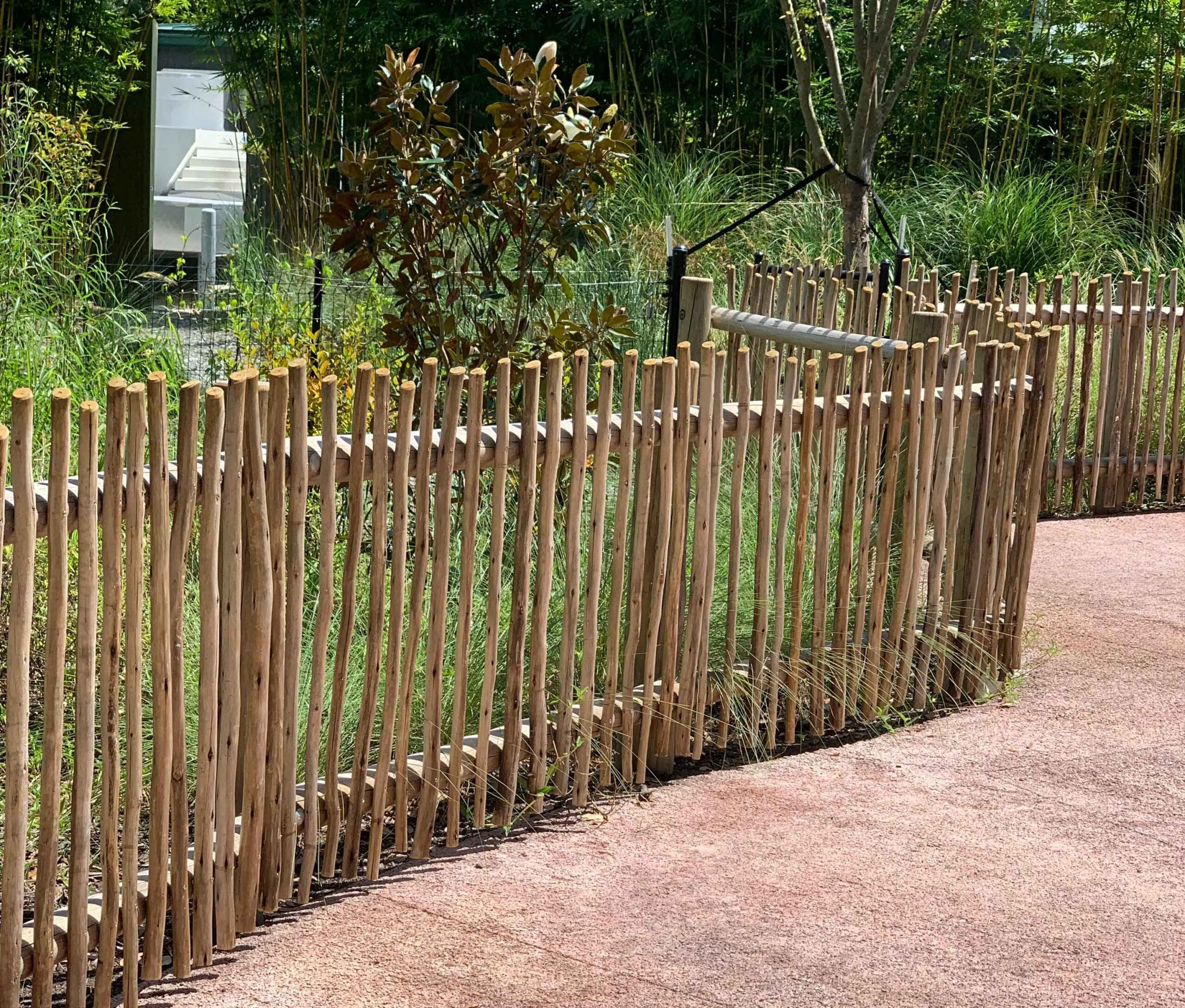 eucalyptus-poles-and-fencing eucalyptus poles and fencing