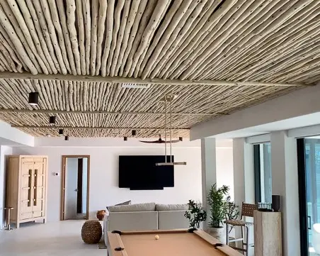 Eucy-Ceiling-Treatment-977777-1