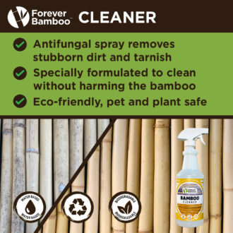 CLEANER ANTIFUNGAL SPRAY